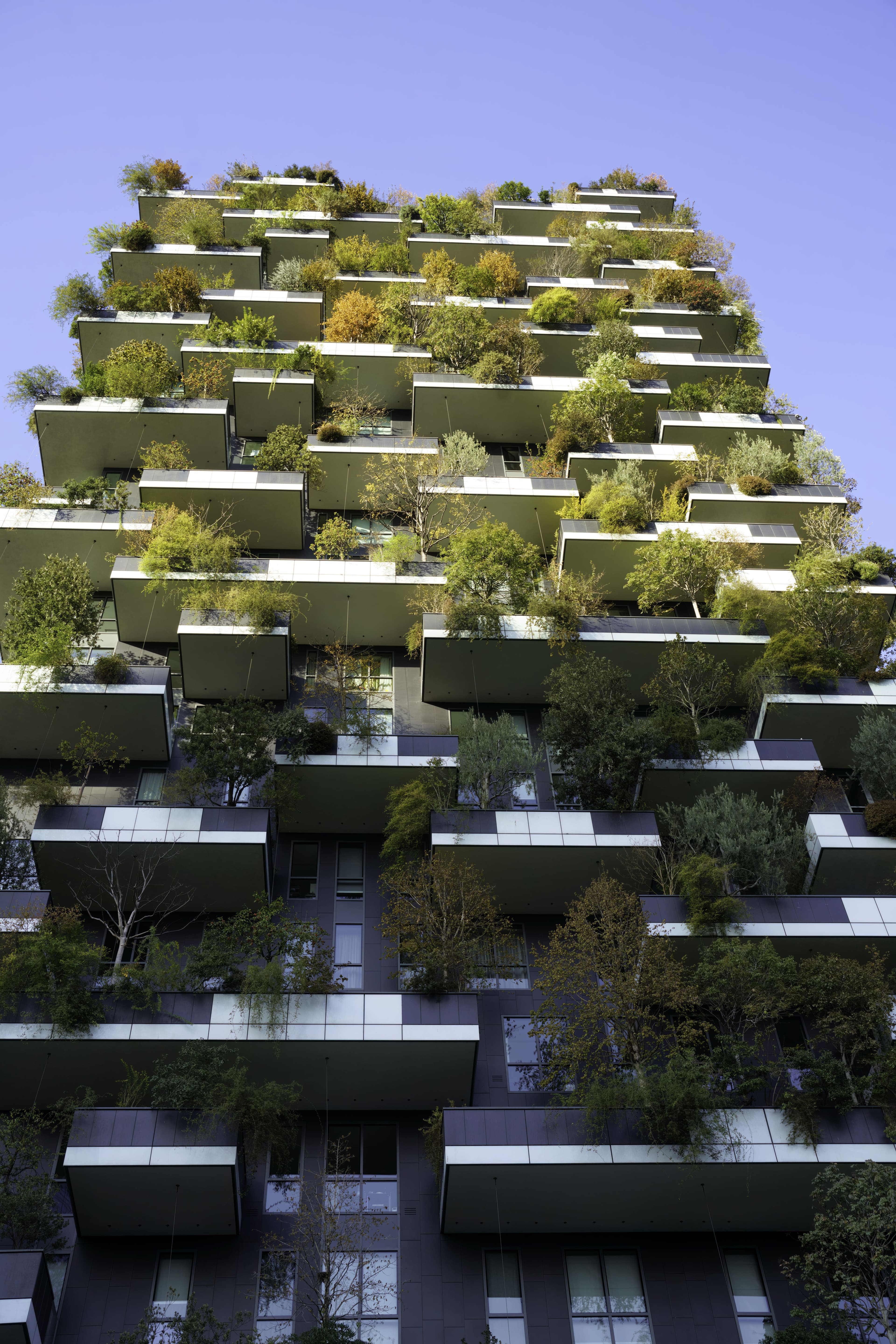 Green Buildings & Sustainable Infrastructure